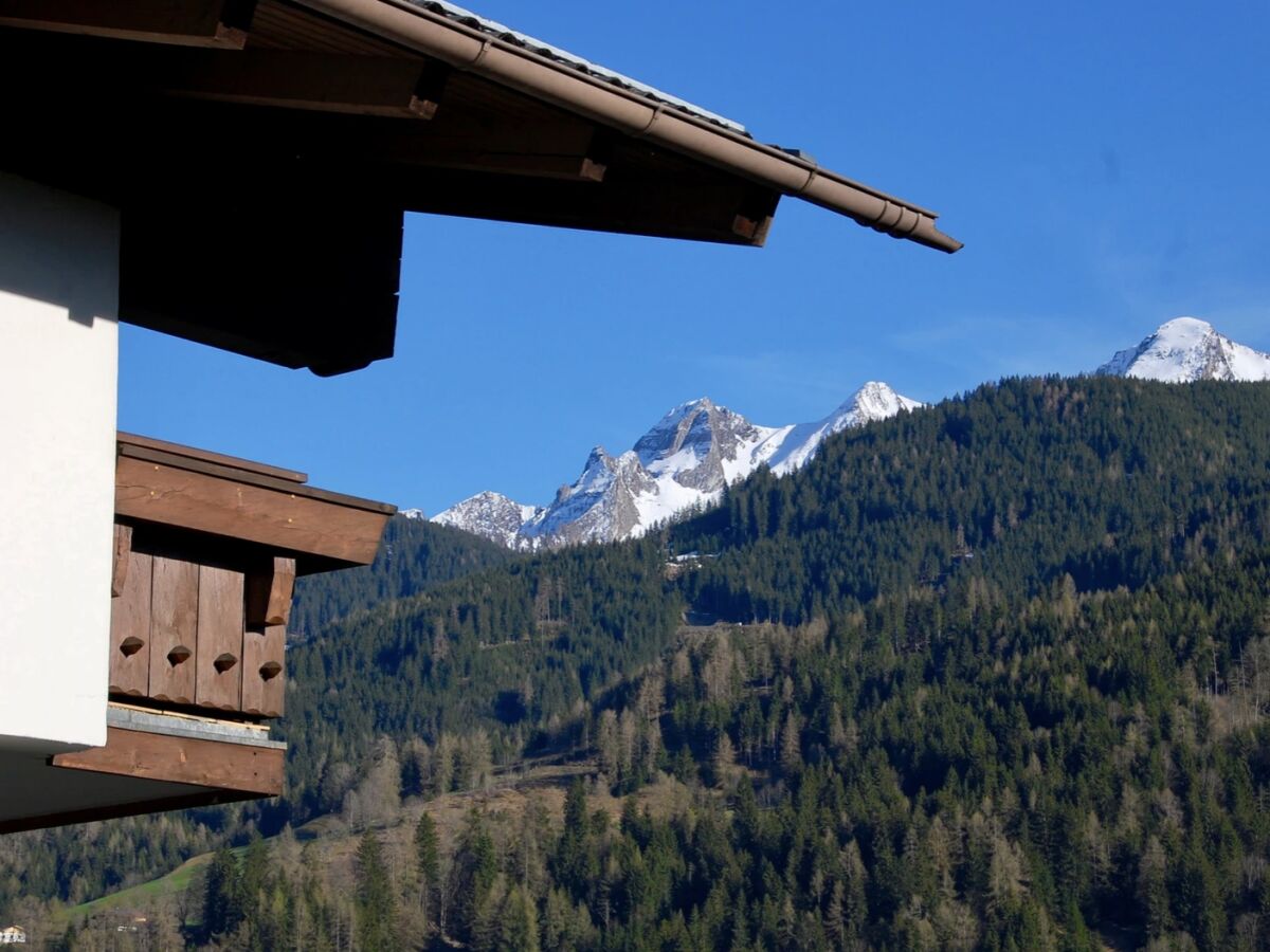 Holiday apartment Bergner Alm - Outdoor photo 4