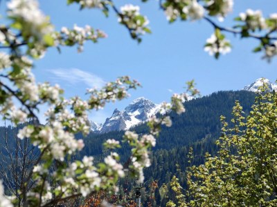 Holiday apartment Bergner Alm - Outdoor photo 5