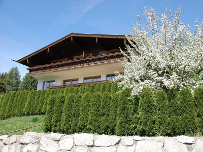 Holiday apartment Bergner Alm - Outdoor photo 6