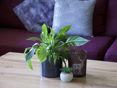 Holiday apartment Bergner Alm - Features photo 24