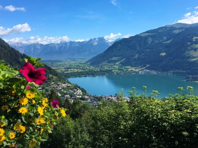 Holiday apartment Bergner Alm - Environment photo 26