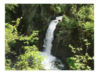 Holiday apartment Bergner Alm - Environment photo 28