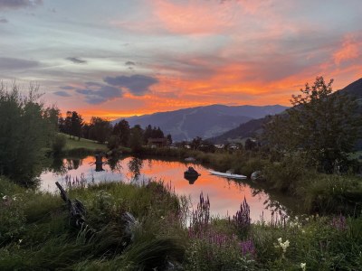 Holiday apartment Bergner Alm - Environment photo 36