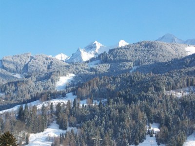 Holiday apartment Bergner Alm - Environment photo 39