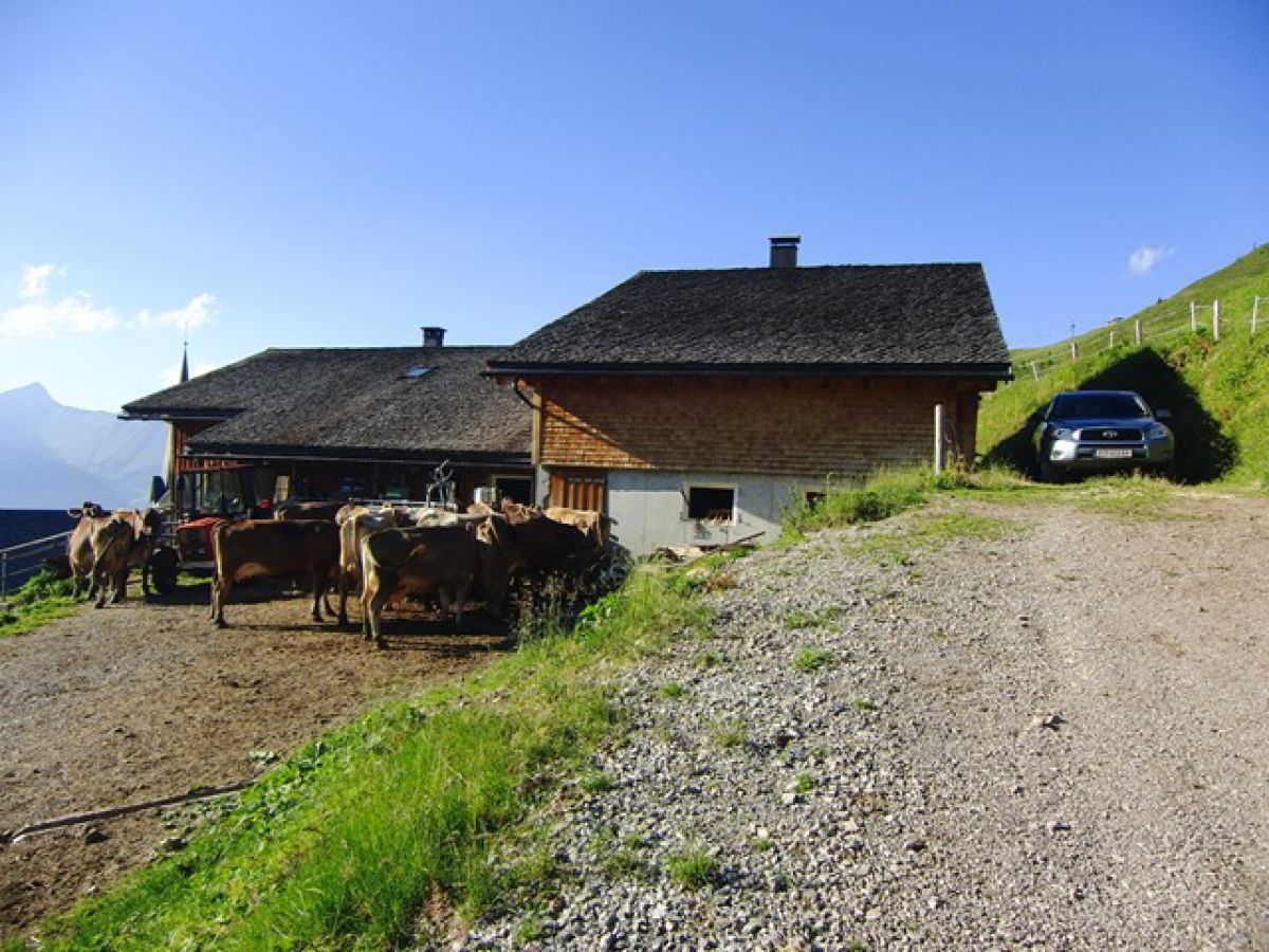 Alpine hut GarmilhÃ¼tte ski mountain hut - Outdoor photo 3