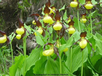Alpine hut GarmilhÃ¼tte ski mountain hut - Environment photo 11