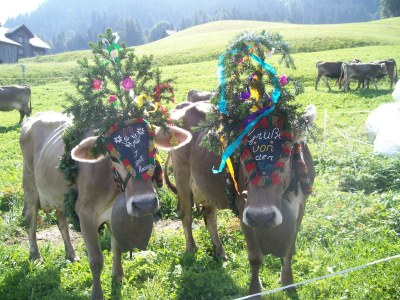 Alpine hut GarmilhÃ¼tte ski mountain hut - Environment photo 15