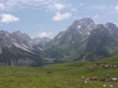 Alpine hut GarmilhÃ¼tte ski mountain hut - Environment photo 18