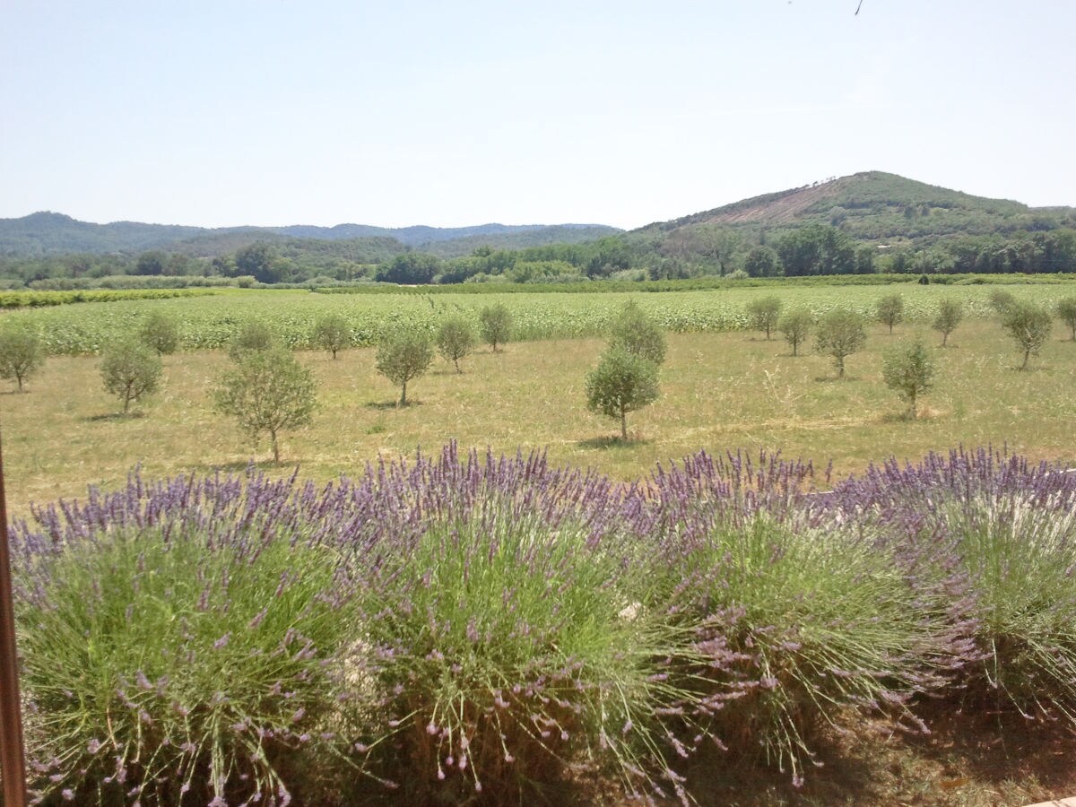 Holiday house Dame Guise - Outdoor photo 5