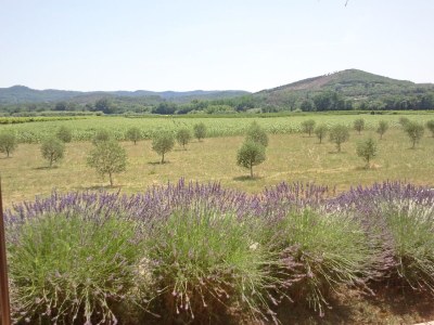 Holiday house Dame Guise - Outdoor photo 5