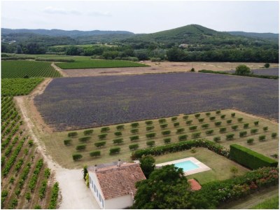 Holiday house Dame Guise - Outdoor photo 8