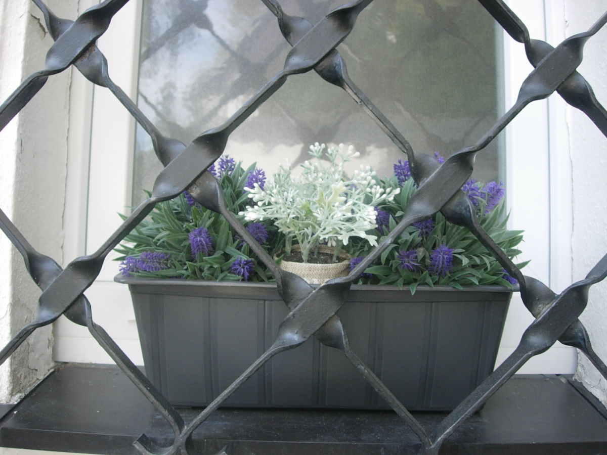 Holiday apartment Alexander "Lieblingsplatz" - Outdoor photo 5