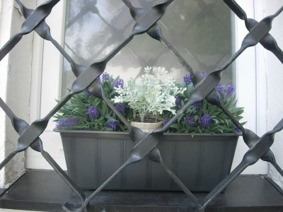 Holiday apartment Alexander "Lieblingsplatz" - Outdoor photo 5