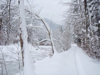 Holiday apartment 33 - Kaiserhimmel - Environment photo 12