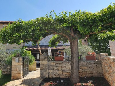 Villa Anita with pool - Outdoor photo 5