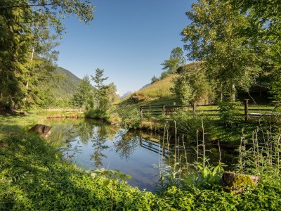 Holiday apartment apatment and chalet - Outdoor photo 9