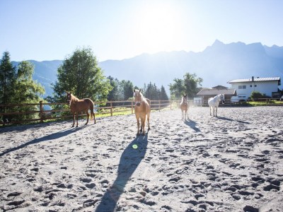 Holiday apartment apatment and chalet - Environment photo 27