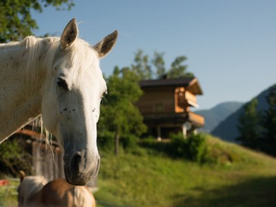 Holiday apartment apatment and chalet - Environment photo 31