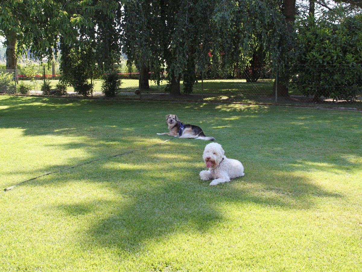 Holiday house Otto - Outdoor photo 4