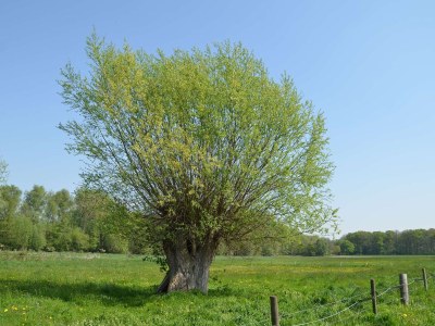 Holiday house Otto - Environment photo 15