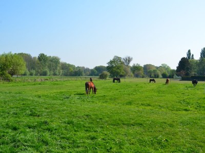 Holiday house Otto - Environment photo 19