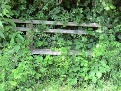 Holiday apartment Alte Schule (Old School), Timmdorf - Environment photo 22