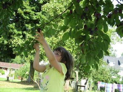 Holiday apartment Alte Schule (Old School), Timmdorf - Environment photo 24