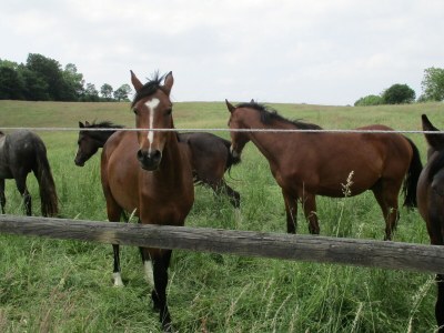 Holiday apartment Alte Schule (Old School), Timmdorf - Environment photo 27