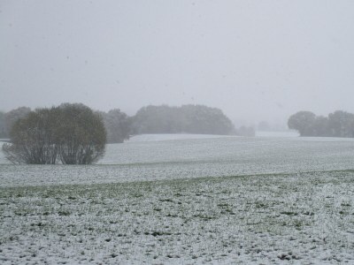Holiday apartment Alte Schule (Old School), Timmdorf - Environment photo 31