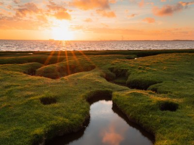 Holiday apartment Japenga 2 - Environment photo 20