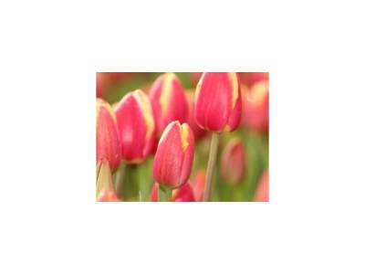 Holiday apartment Japenga 2 - Document photo 24