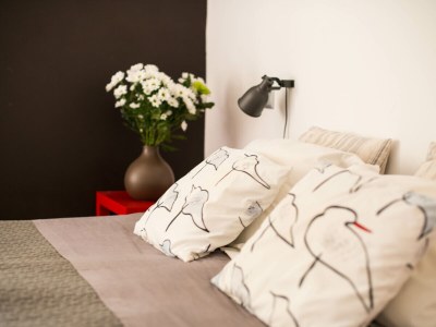 Holiday house Le Mas Toupian - Features photo 22