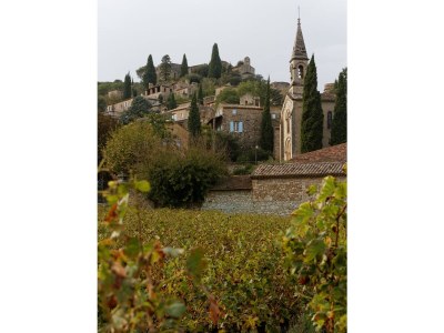 Holiday house Le Mas Toupian - Environment photo 34