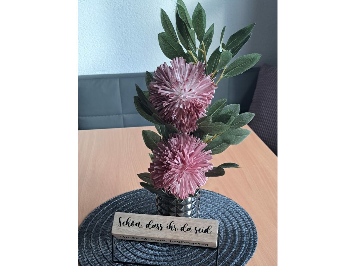 Holiday apartment Steinberger - Outdoor photo 3