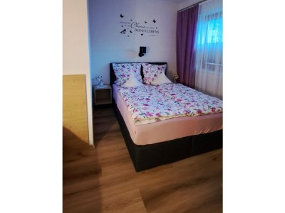 Holiday apartment Steinberger - Outdoor photo 14