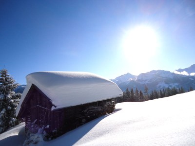 Holiday apartment Steinberger - Environment photo 38