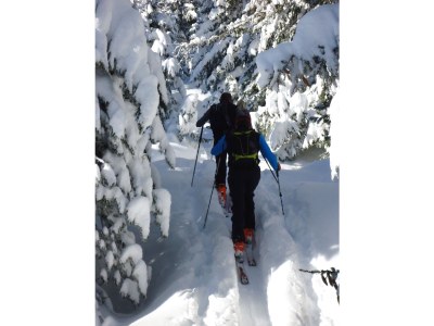 Holiday apartment Steinberger - Environment photo 39