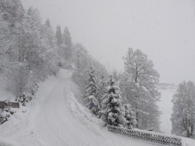 Holiday apartment Steinberger - Environment photo 40