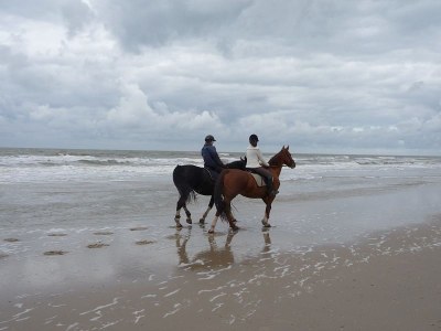 Holiday apartment Petten Beach in Petten aan Zee - Environment photo 18