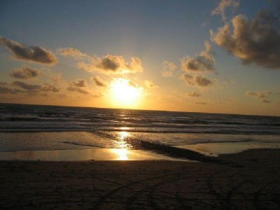 Holiday apartment Petten Beach in Petten aan Zee - Environment photo 23