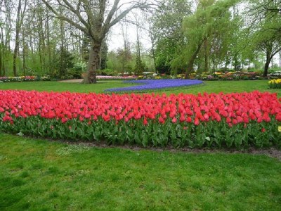 Holiday apartment Petten Beach in Petten aan Zee - Environment photo 24