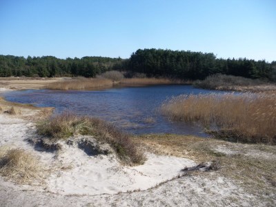 Holiday apartment Petten Beach in Petten aan Zee - Environment photo 25