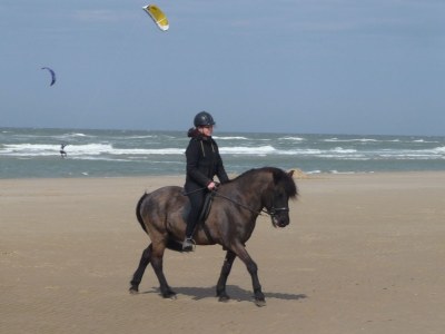 Holiday apartment Petten Beach in Petten aan Zee - Environment photo 27