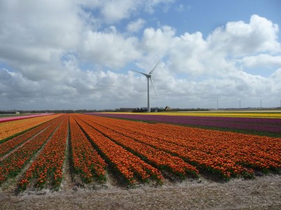 Holiday apartment Petten Beach in Petten aan Zee - Environment photo 36