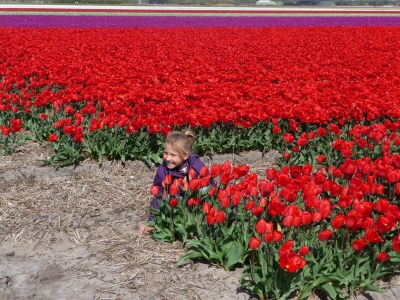 Holiday apartment Petten Beach in Petten aan Zee - Environment photo 38
