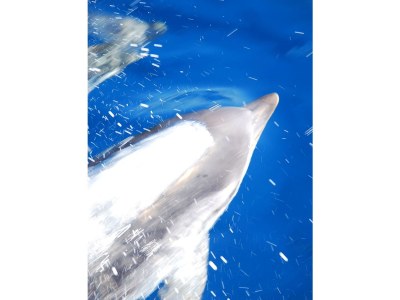 Holiday apartment Casa Capinera - Environment photo 20