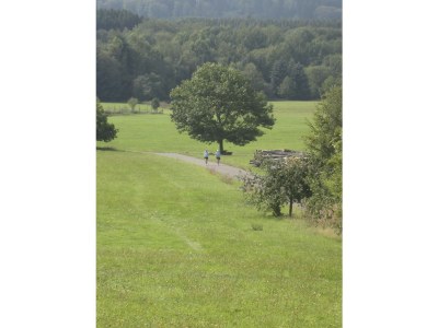 Holiday house "Heinrich" - Outdoor photo 6