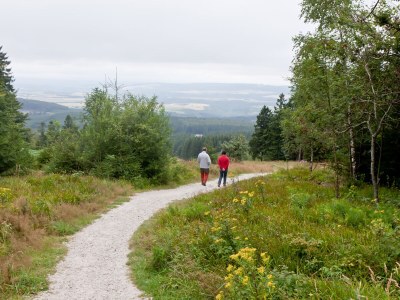 Holiday house "Heinrich" - Outdoor photo 12