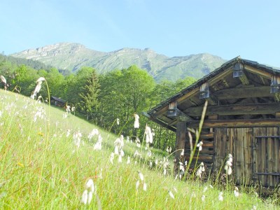 Holiday apartment Irmgard - Environment photo 23