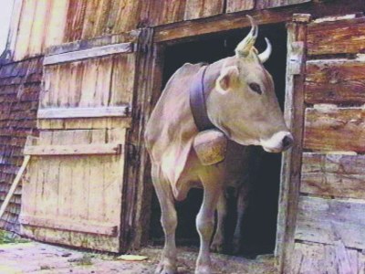 Holiday apartment Irmgard - Environment photo 24